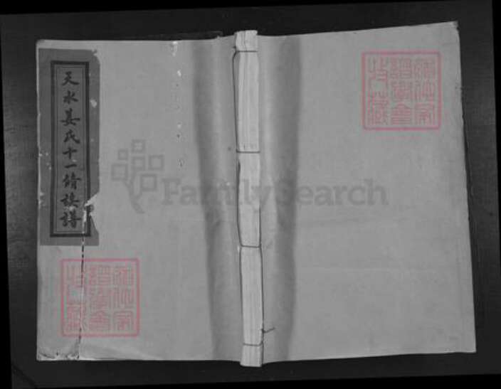 江西省赣州市宁都县洛口镇姜氏族谱-天水姜氏十一修族谱.pdf电子版缩略图