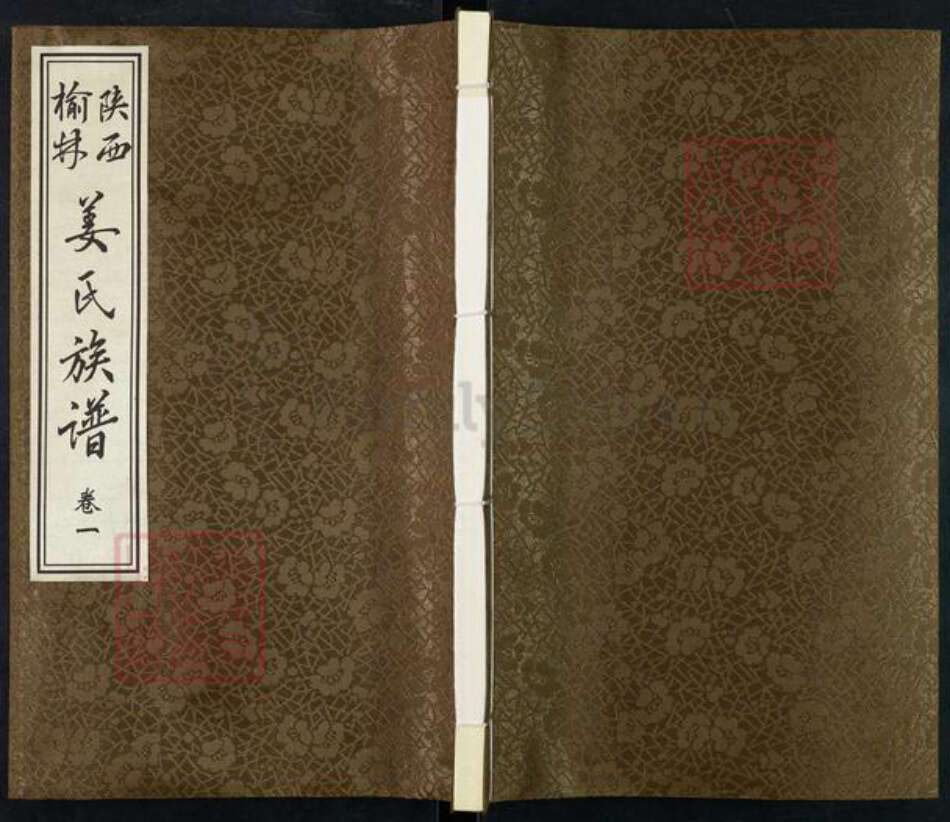 陕西省榆林横山区姜氏族谱-陕西榆林姜氏族谱.pdf电子版缩略图