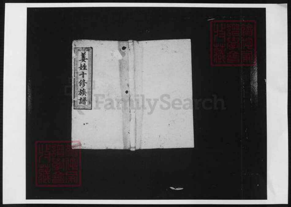 湖南省长沙市宁乡市姜氏族谱-姜姓十修族谱.pdf电子版缩略图