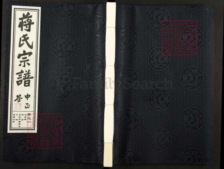 浙江省金华市金东区傅村镇蒋氏族谱-蒋氏宗谱.pdf电子版缩略图