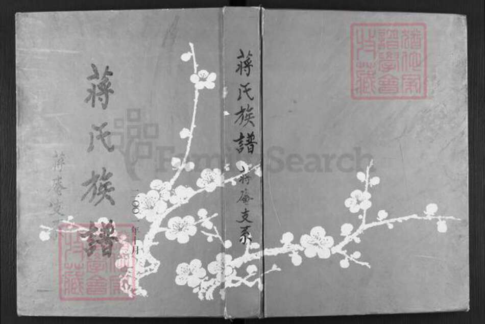 江苏省淮安市涟水县蒋氏乐安堂族谱-蒋氏族谱.蒋庵支系.pdf电子版缩略图