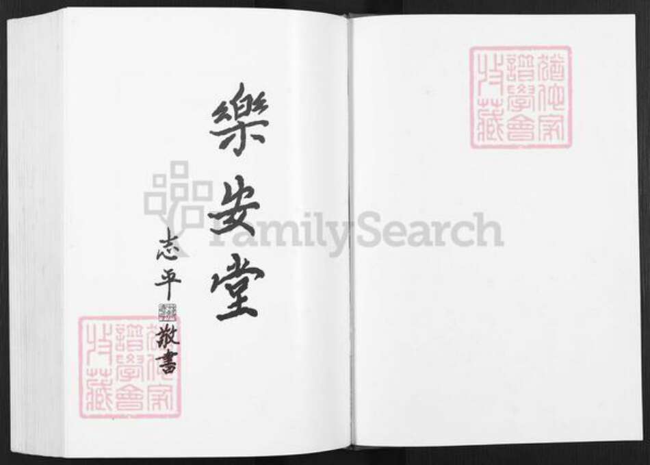 江苏省淮安市涟水县蒋氏乐安堂族谱-蒋氏族谱.蒋庵支系.pdf电子版预览图1