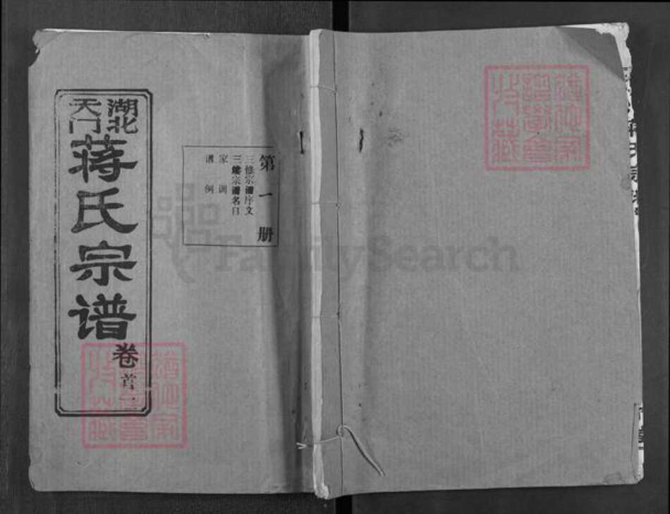 湖北省天门市干驿镇蒋氏凤竹堂族谱-湖北天门蒋氏宗谱.pdf电子版缩略图