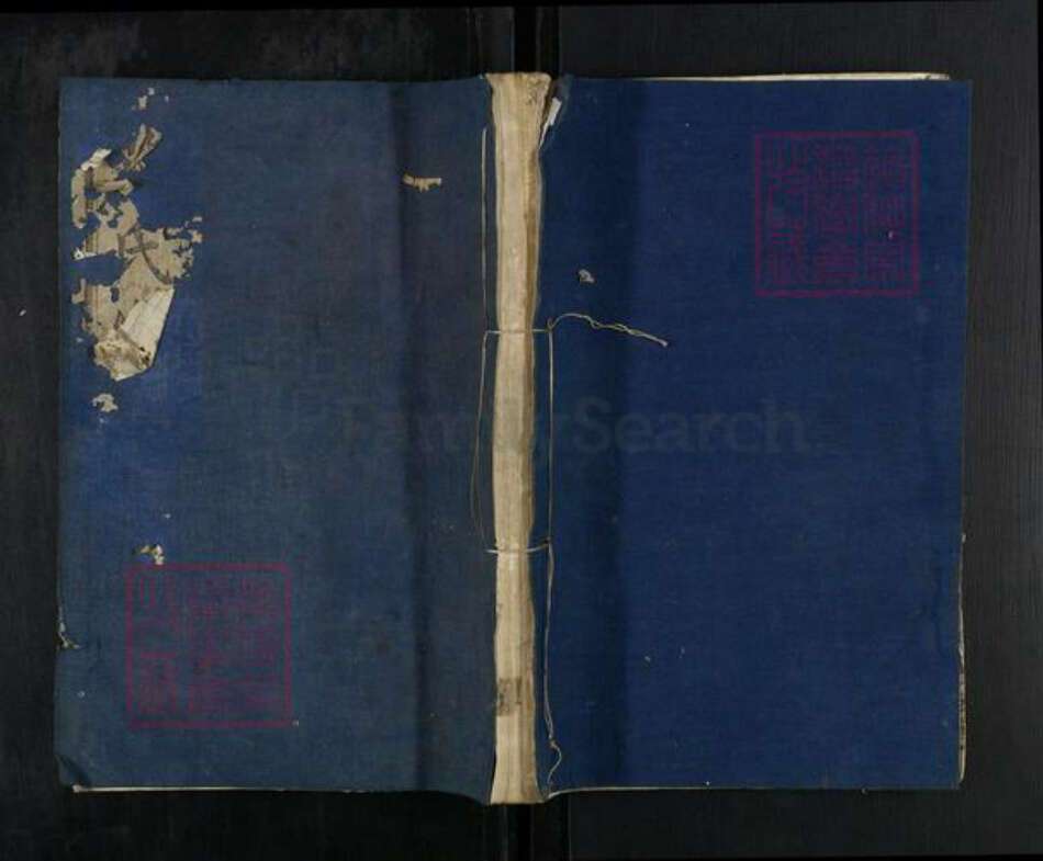 浙江省绍兴嵊州市蒋氏乐安堂族谱-蒋氏宗谱.pdf电子版缩略图