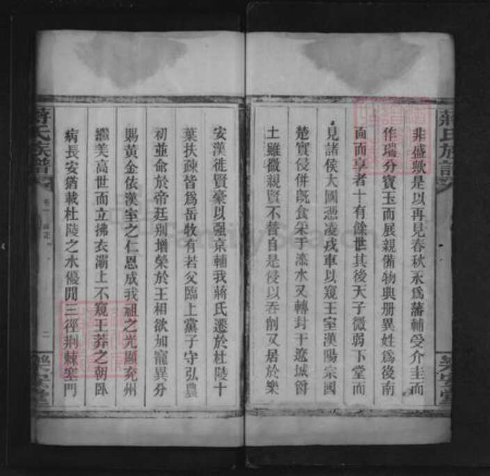 湖南省永州市道县蒋氏乐安堂族谱-蒋氏族谱.pdf电子版预览图2