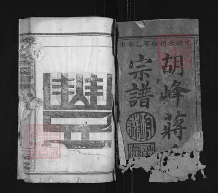 江西省蒋氏三径堂族谱-胡峰蒋氏宗谱.pdf电子版预览图1