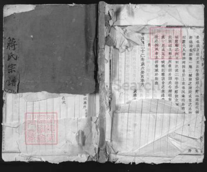 浙江省金华市东阳市画水镇蒋氏族谱-岩下溪边蒋氏宗谱.pdf电子版缩略图