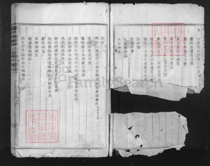 浙江省金华市东阳市画水镇蒋氏族谱-岩下溪边蒋氏宗谱.pdf电子版预览图2