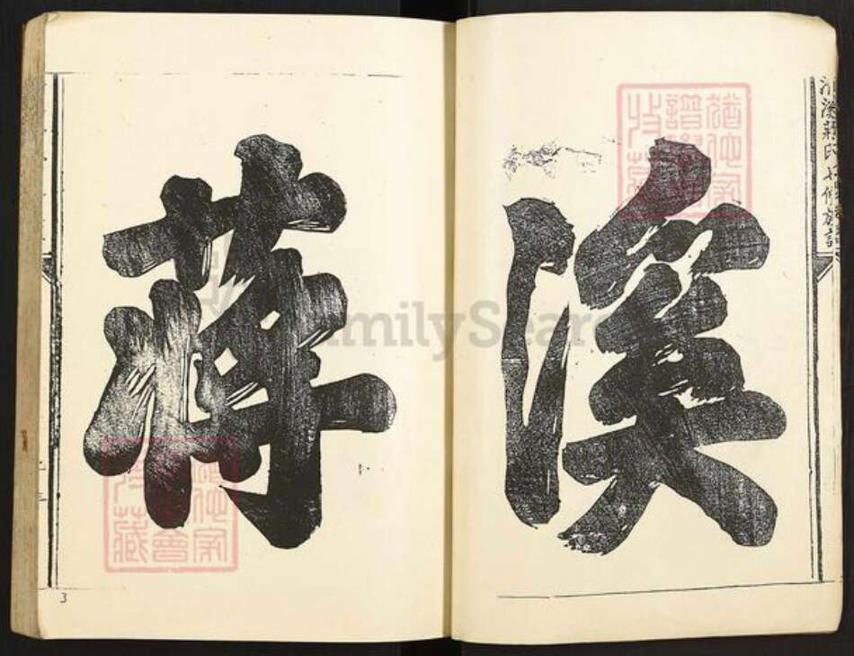 江西省吉安市泰和市蒋氏族谱-清溪蒋氏八修族谱.pdf电子版预览图3