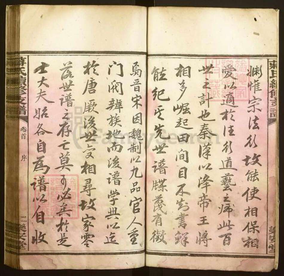 湖南省益阳市蒋氏乐安堂族谱-蒋氏续修支谱.pdf电子版预览图4