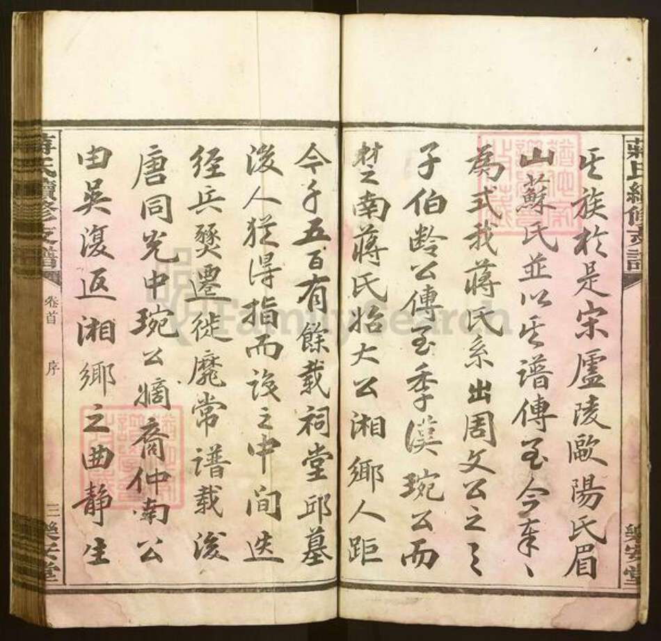 湖南省益阳市蒋氏乐安堂族谱-蒋氏续修支谱.pdf电子版预览图5