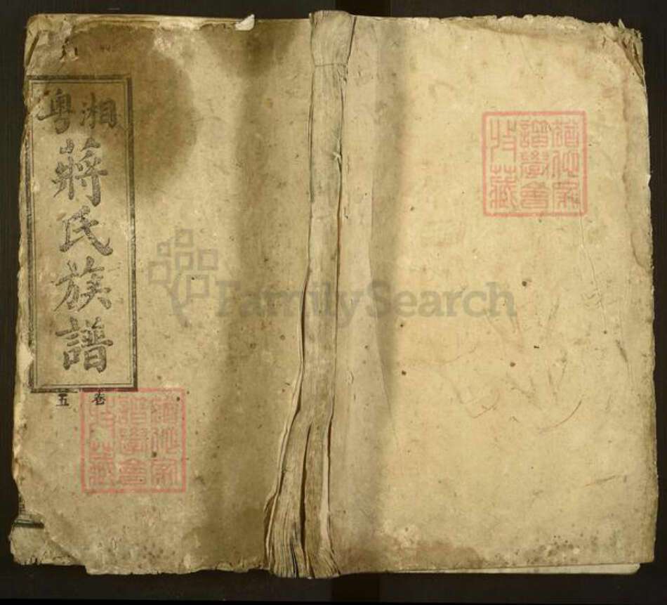 湖南省永州市东安县蒋氏乐安堂族谱-湘粤蒋氏族谱.pdf电子版缩略图