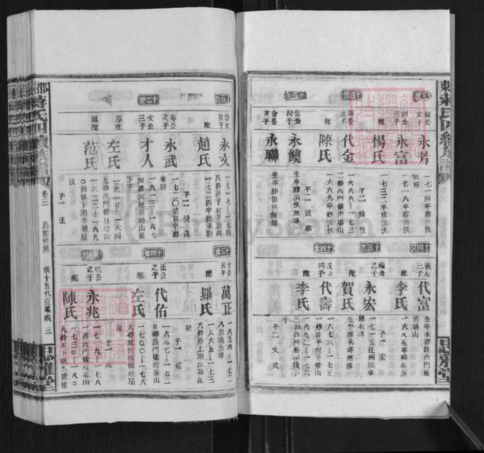 湖南省邵阳市邵东蒋氏忠雅堂族谱-邵东蒋氏四续族谱.pdf电子版预览图3