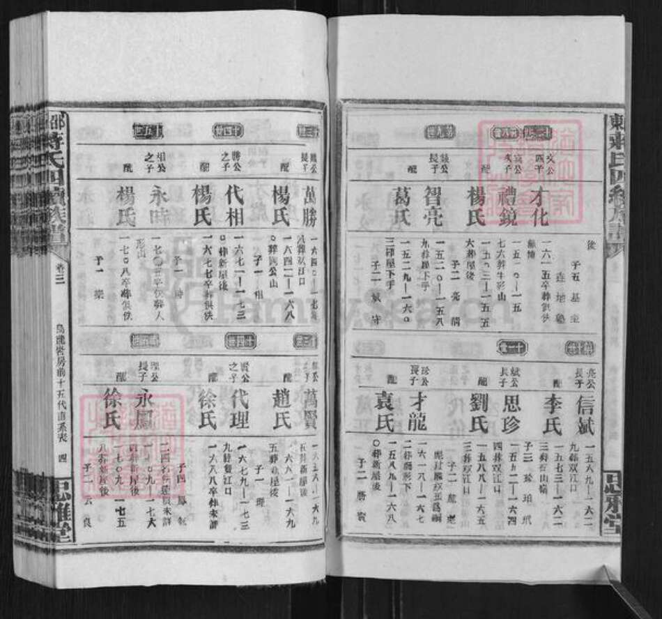 湖南省邵阳市邵东蒋氏忠雅堂族谱-邵东蒋氏四续族谱.pdf电子版预览图4