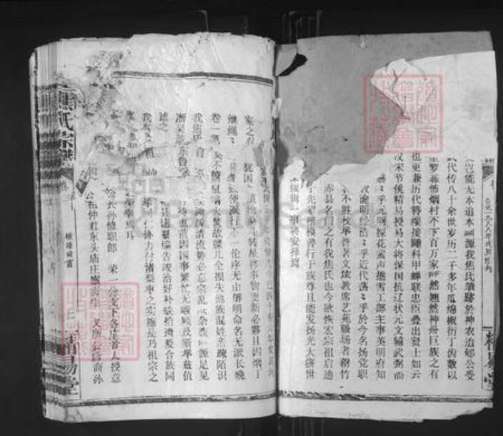 湖北省黄石市阳新县兴国镇焦氏精易堂族谱-焦氏宗谱.pdf电子版预览图2