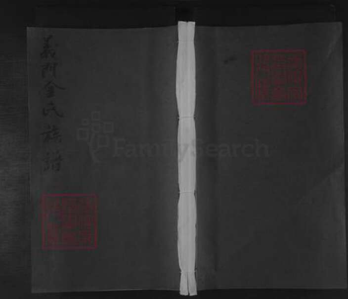 湖南省邵阳市金氏族谱-义门金氏族谱 [8卷].pdf电子版缩略图