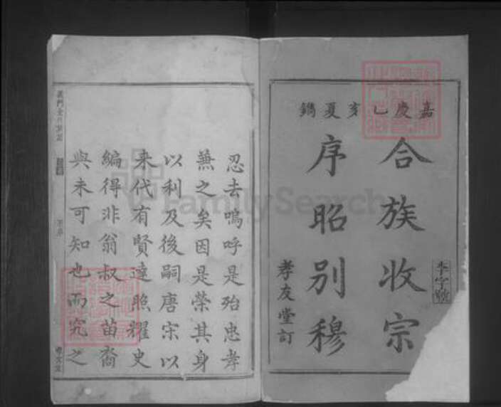 湖南省邵阳市金氏族谱-义门金氏族谱 [8卷].pdf电子版预览图1