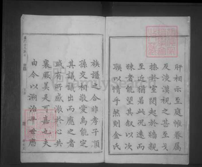 湖南省邵阳市金氏族谱-义门金氏族谱 [8卷].pdf电子版预览图4