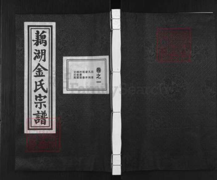 浙江省金华市金东区金氏族谱-藕湖金氏宗谱.pdf电子版缩略图