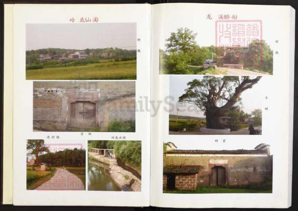 江西省上饶市上饶县花厅镇金氏族谱-金氏宗谱.pdf电子版预览图4