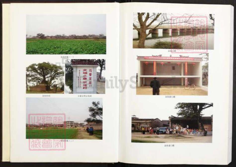 江西省上饶市上饶县花厅镇金氏族谱-金氏宗谱.pdf电子版预览图5