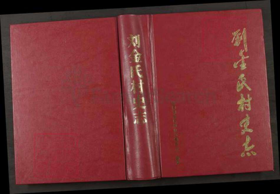 浙江省金华市东阳市巍山镇金氏族谱-刘金氏村史志.pdf电子版缩略图
