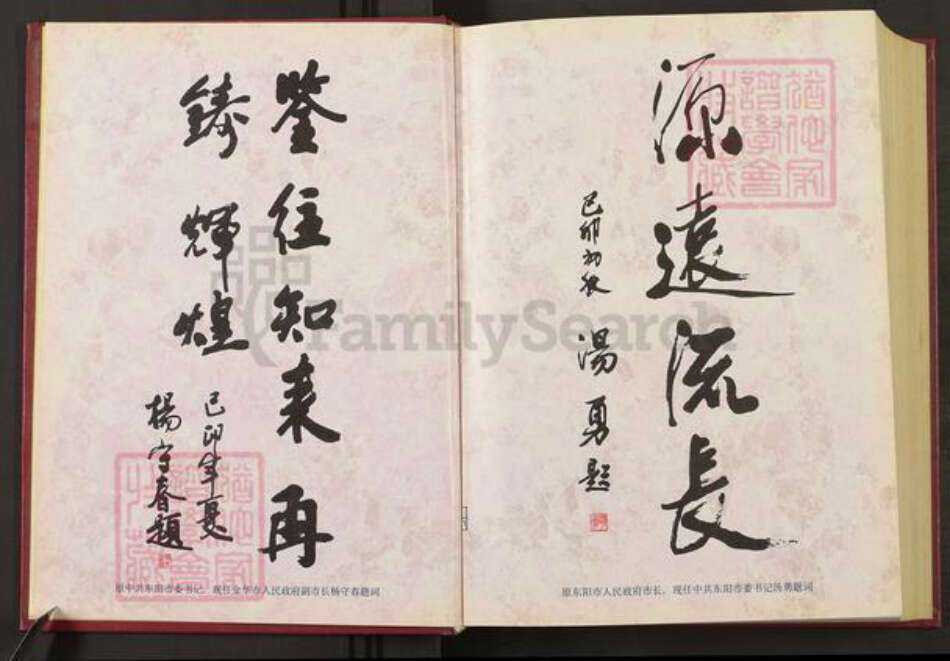 浙江省金华市东阳市巍山镇金氏族谱-刘金氏村史志.pdf电子版预览图4