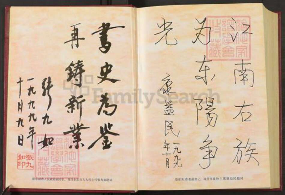 浙江省金华市东阳市巍山镇金氏族谱-刘金氏村史志.pdf电子版预览图5