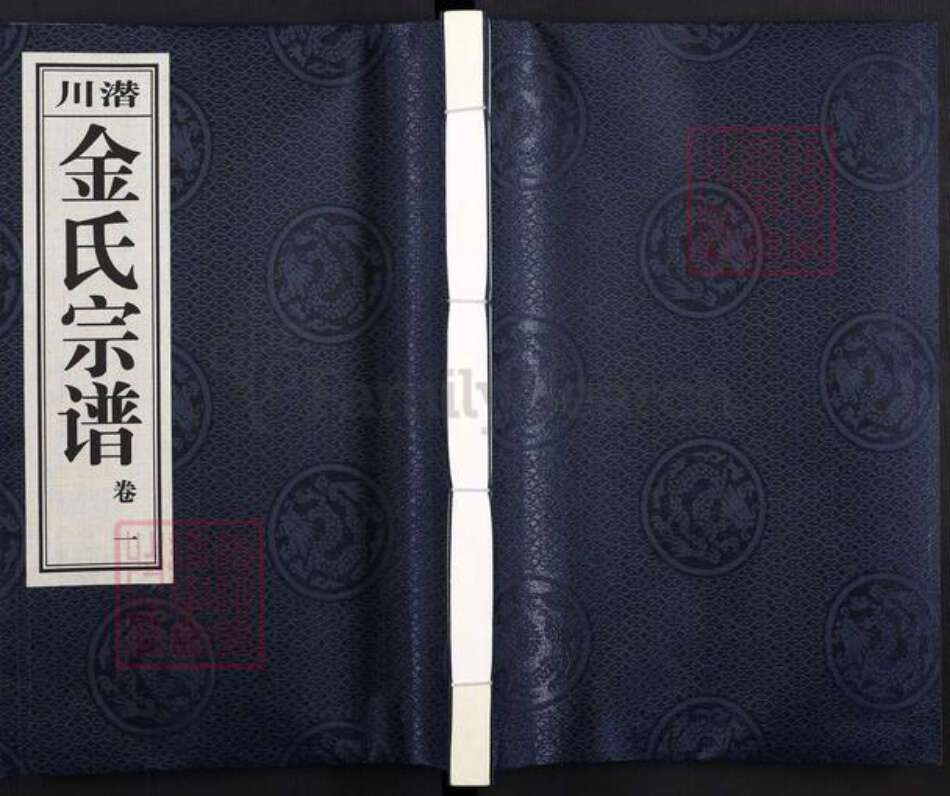 安徽省合肥市庐江县白山镇金氏五义堂族谱-潜川金氏宗谱.pdf电子版缩略图