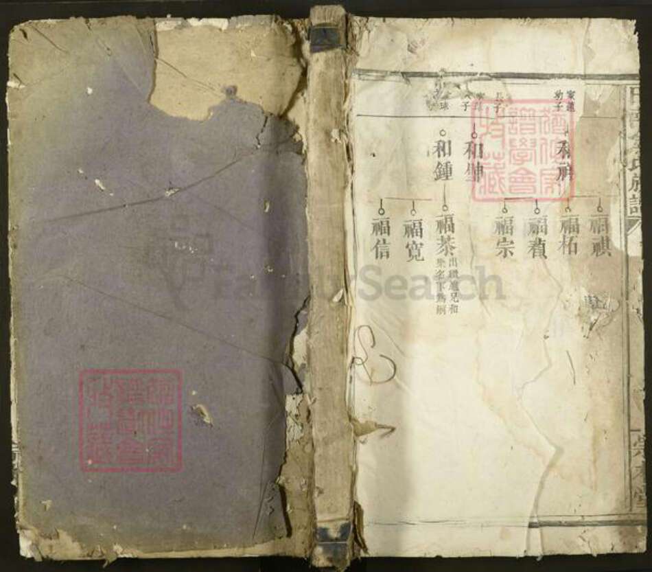 江西省宜春市丰城市隍城镇金氏崇本堂族谱-田南金氏族谱.pdf电子版缩略图