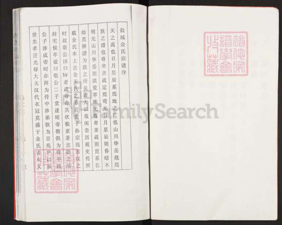 江苏省盐城市亭湖区南洋镇金氏鸿文堂族谱-金氏宗谱.pdf电子版预览图3