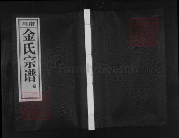 安徽省合肥市庐江县金氏五义堂族谱-潜川金氏宗谱.pdf电子版缩略图