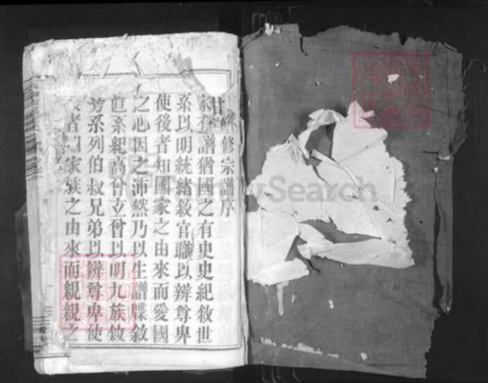 浙江省绍兴嵊州市三江街道金氏尊亲堂族谱-剡南谢慕金氏宗谱.pdf电子版预览图1