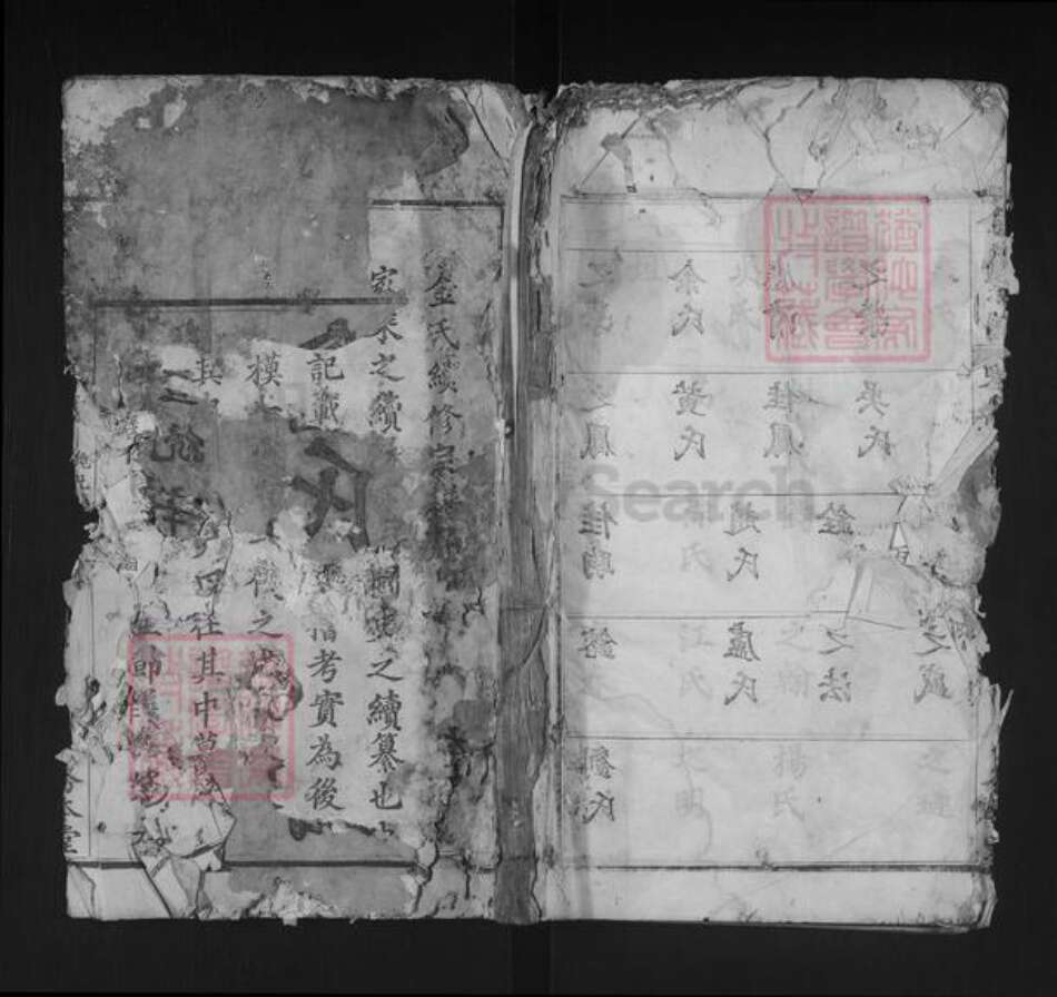 湖北省黄冈市红安县金氏务本堂族谱-金氏宗谱.pdf电子版缩略图