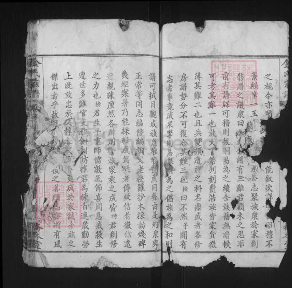 湖北省黄冈市红安县金氏务本堂族谱-金氏宗谱.pdf电子版预览图2