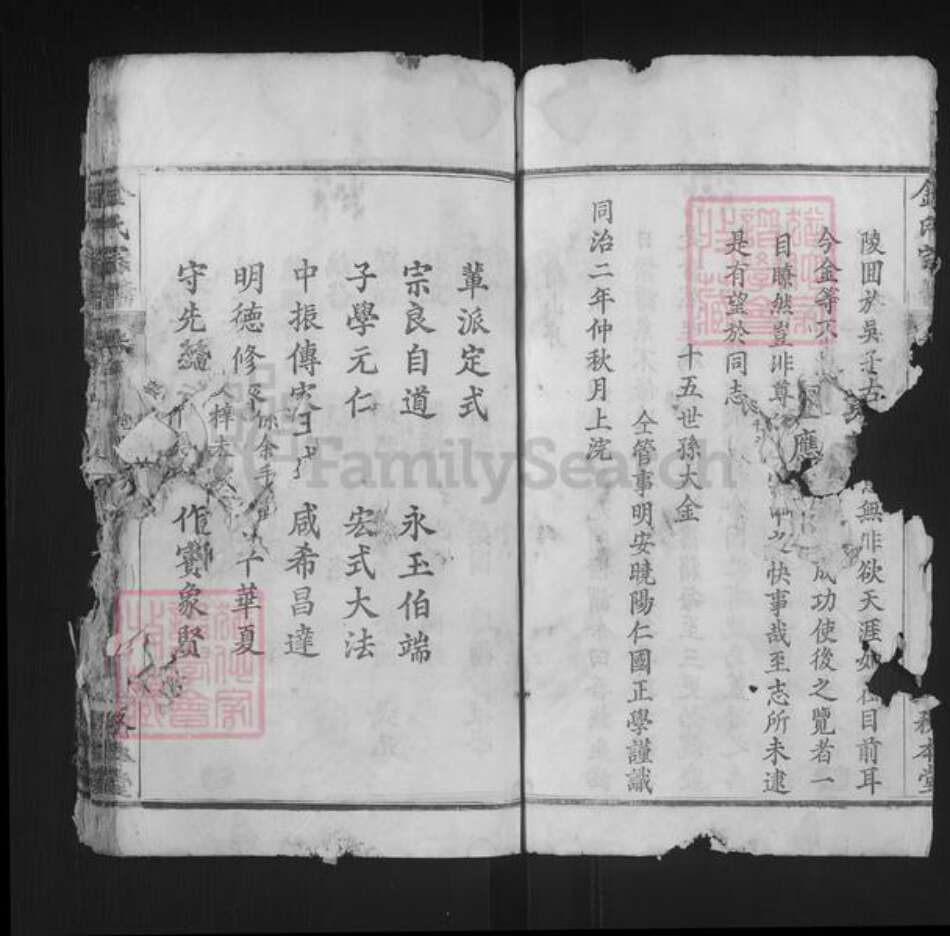 湖北省黄冈市红安县金氏务本堂族谱-金氏宗谱.pdf电子版预览图5