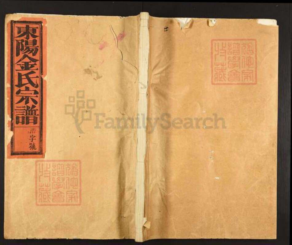 浙江省金华市东阳市巍山镇金氏敦睦堂族谱-东阳金氏宗谱.pdf电子版缩略图