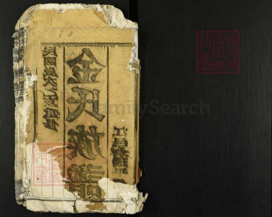 江苏省扬州市高邮市金氏宝善堂族谱-金氏家谱.pdf电子版缩略图