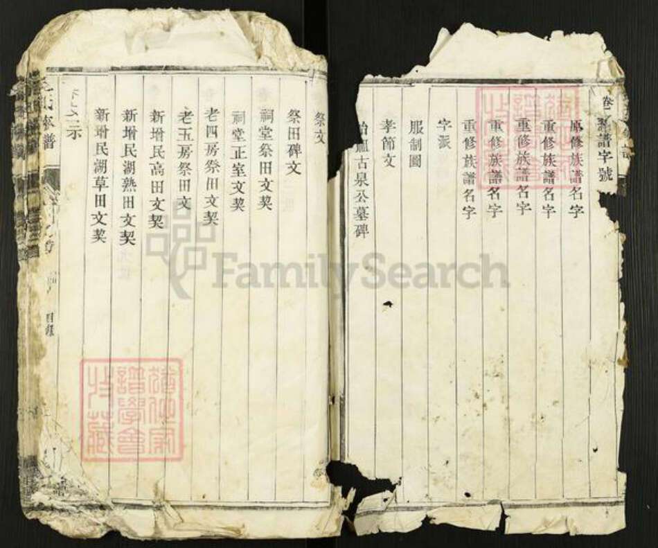 江苏省扬州市高邮市金氏宝善堂族谱-金氏家谱.pdf电子版预览图1