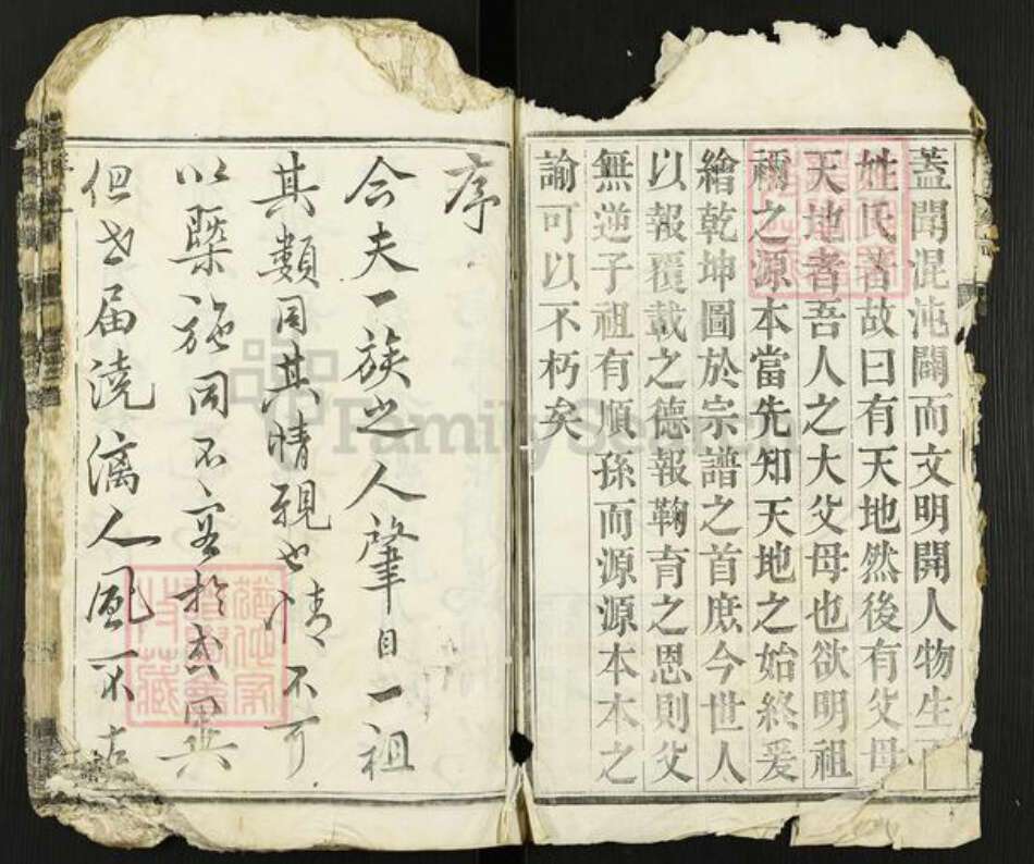 江苏省扬州市高邮市金氏宝善堂族谱-金氏家谱.pdf电子版预览图4