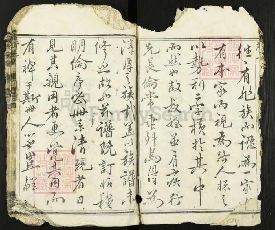 江苏省扬州市高邮市金氏宝善堂族谱-金氏家谱.pdf电子版预览图5