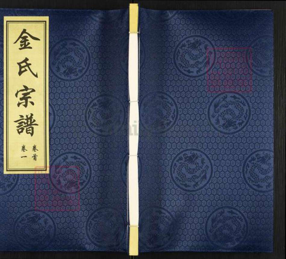 江苏省常州市武进县金氏仁山堂族谱-金氏宗谱.pdf电子版缩略图