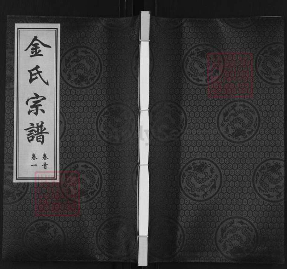 江苏省常州市武进县金氏仁山堂族谱-金氏宗谱.pdf电子版缩略图