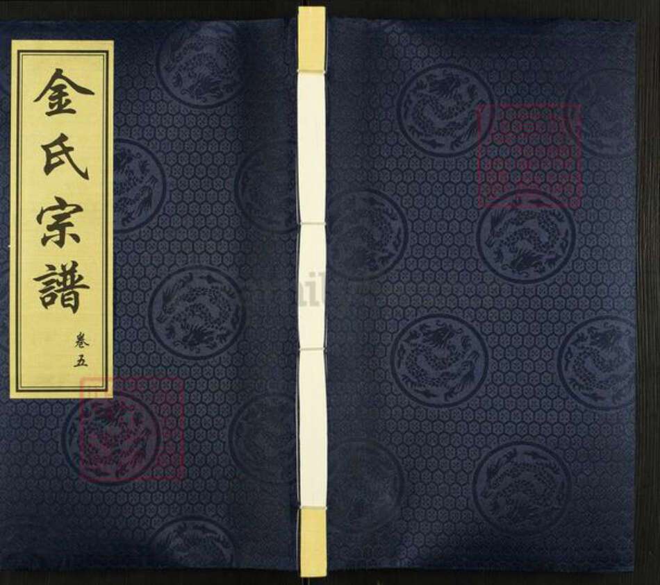 江苏省常州市武进县嘉泽镇金氏仁山堂族谱-金氏宗谱.pdf电子版缩略图