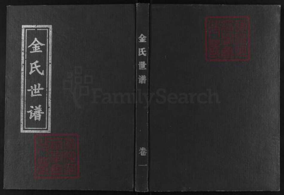 山东省淄博市桓台县马桥镇金氏族谱-金氏世谱.pdf电子版缩略图