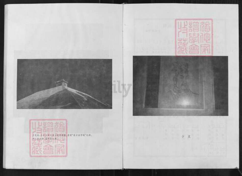 山东省淄博市桓台县马桥镇金氏族谱-金氏世谱.pdf电子版预览图4