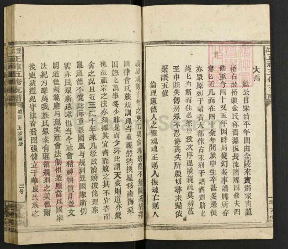 湖南省邵阳市新邵县金氏孝友堂族谱-桥头金氏双江正祚五修支谱.pdf电子版预览图4