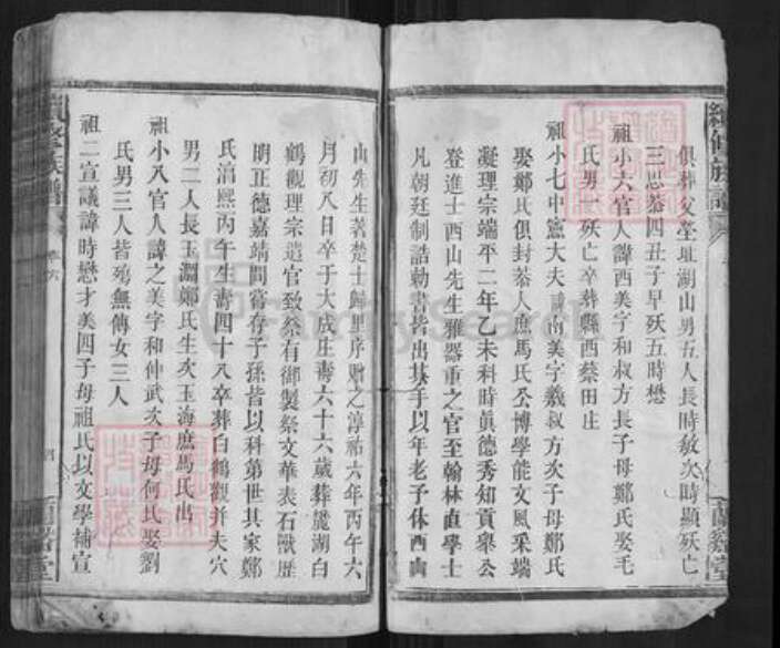 湖南省常德市金氏族谱-续修族谱（金氏族谱）.pdf电子版预览图4