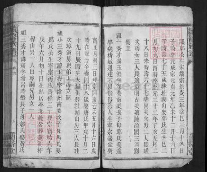 湖南省常德市金氏族谱-续修族谱（金氏族谱）.pdf电子版预览图5