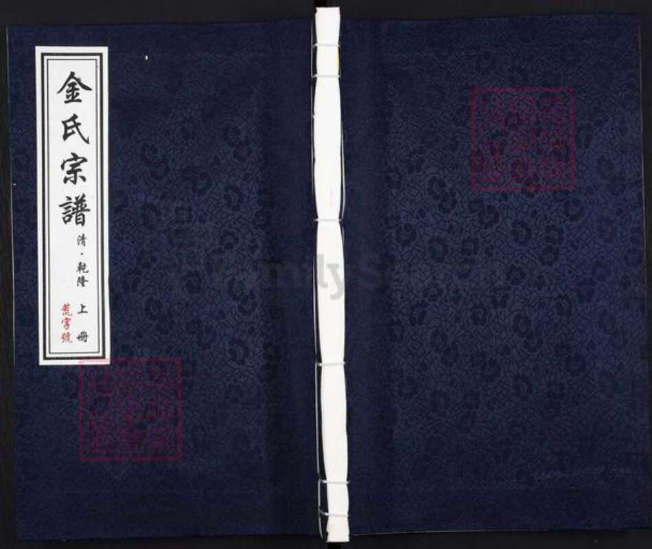 安徽省池州市贵池区金氏族谱-金氏宗谱.pdf电子版缩略图